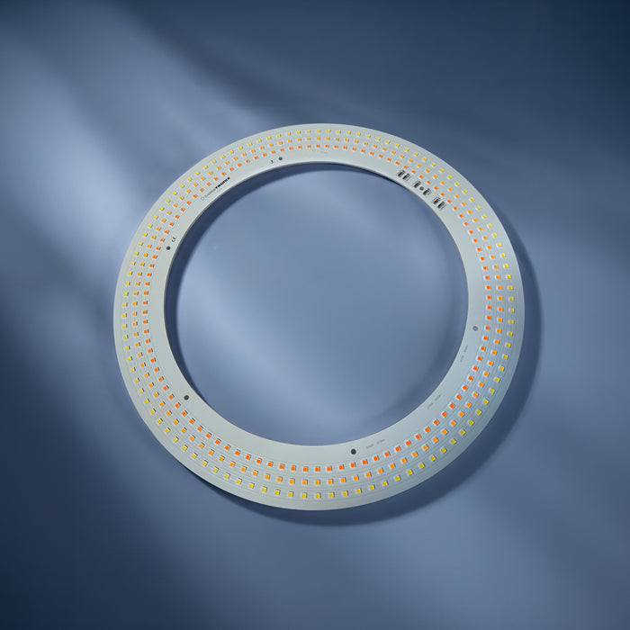 LumiSphere LED-Ringmodul, 312 LEDs, Tunable White 2000 - 4000K, CRI90, 315mm
