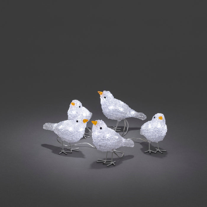 Konstsmide LED-Vögel, 5er-Set, 40 kaltweiße LEDs